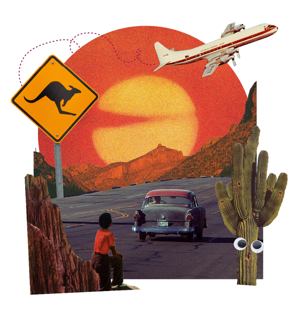 Sunset Drive
